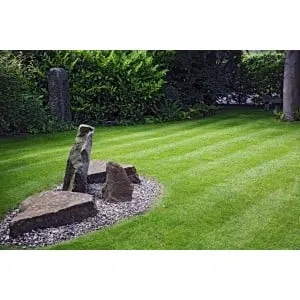 Expert garden landscaping for year-round maintenance in Knoxville, TN by The Grounds Masters