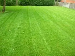 Trusted yard maintenance in Knoxville, TN by The Grounds Masters