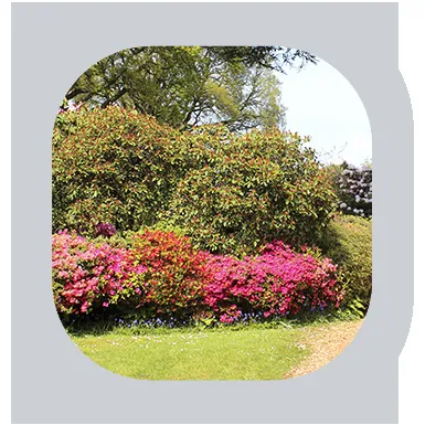 Professional outdoor landscaping in Knoxville, TN by The Grounds Masters