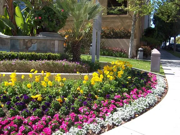 Trusted outdoor landscaping in Camarillo, CA - The Groundskeeper