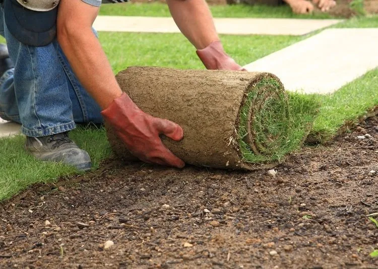 Reliable yard maintenance in Camarillo, CA - The Groundskeeper