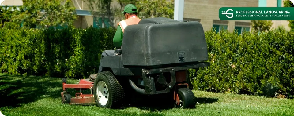 Local residential landscaping in Camarillo, CA - The Groundskeeper