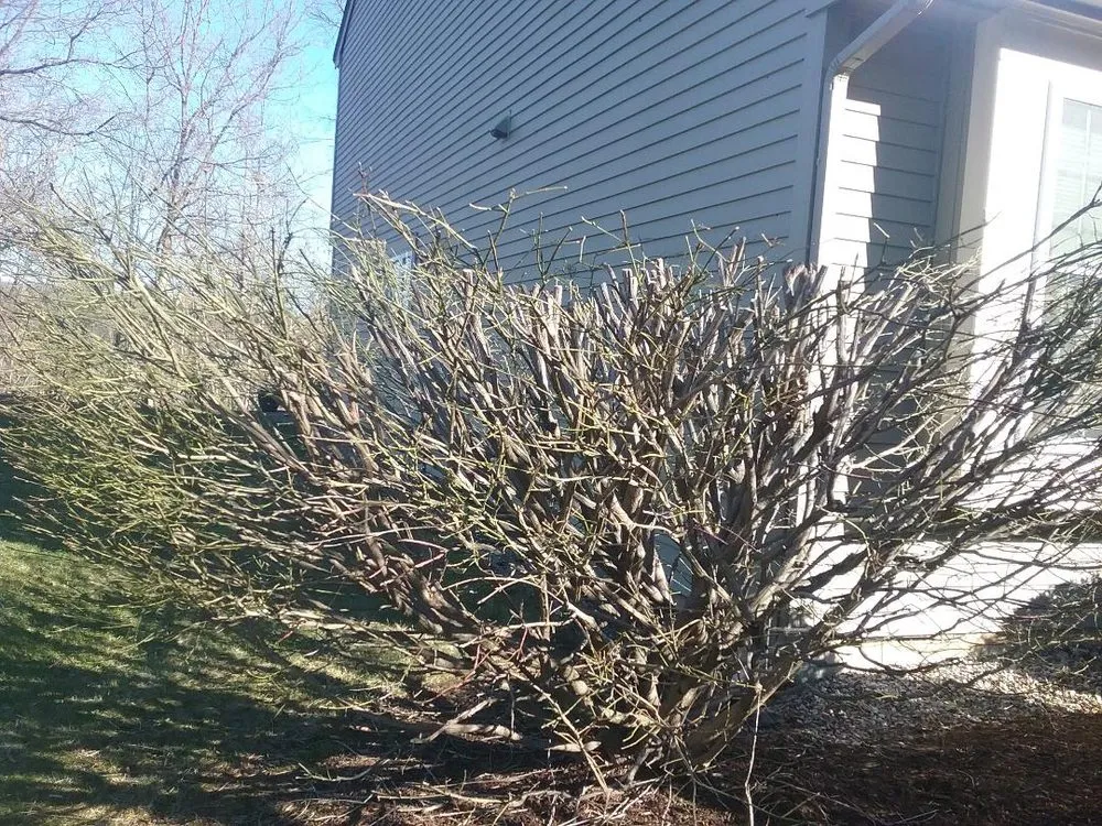 Reliable landscape design in Ashland, MA by The GroundsKeeper, Inc.