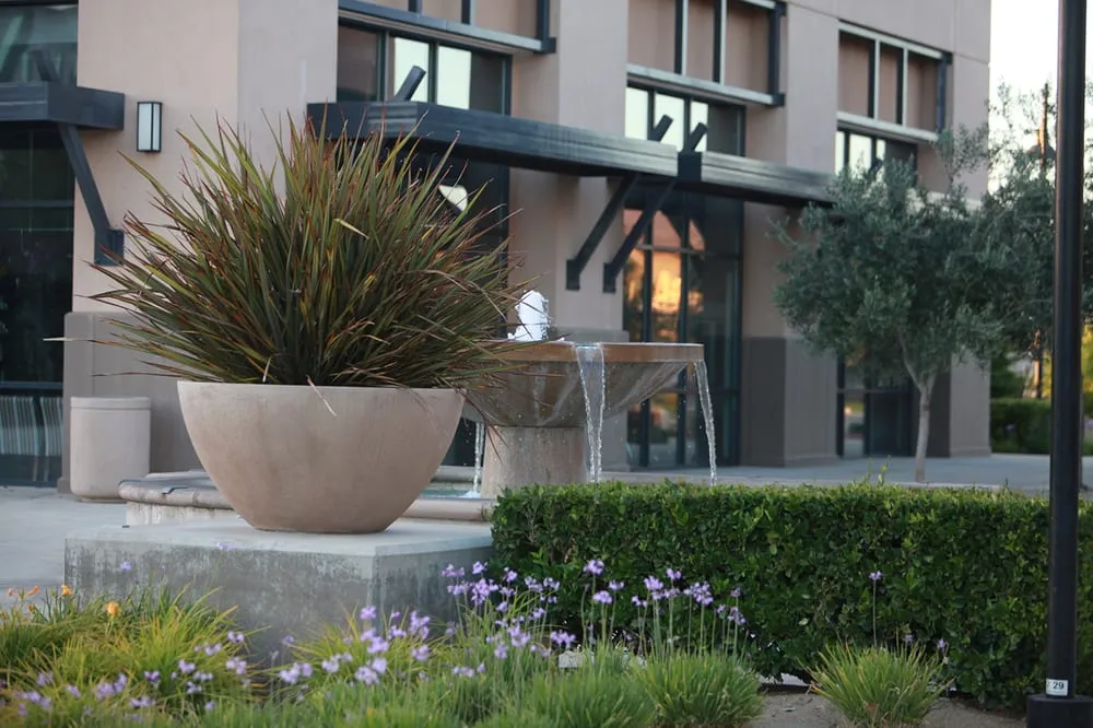 Top-rated lawn mowing service experts serving Sacramento, CA - The Growing Company