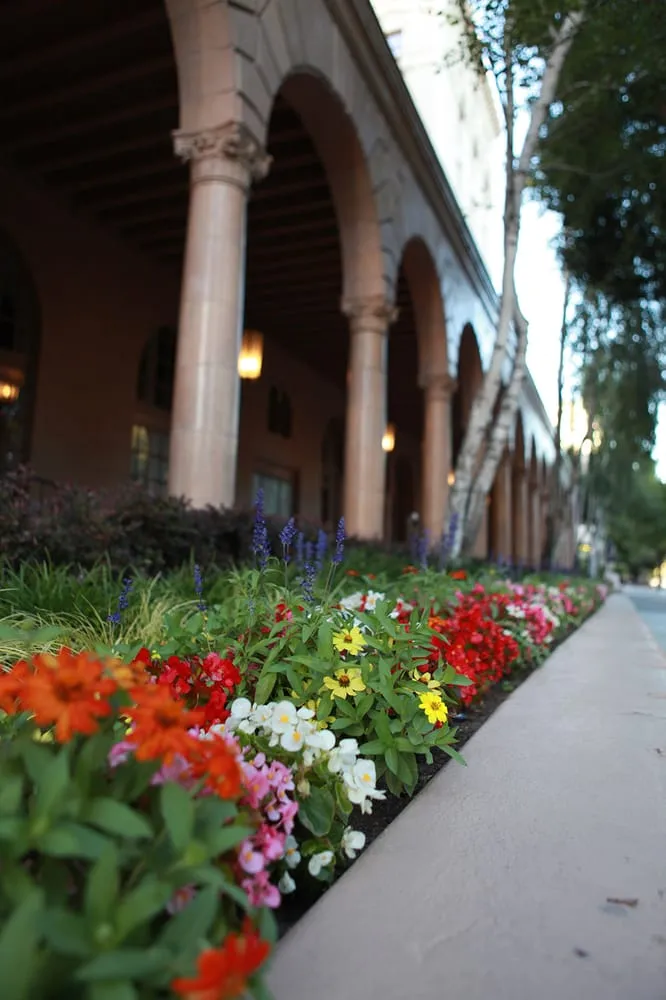 Professional outdoor landscaping in Sacramento, CA by The Growing Company