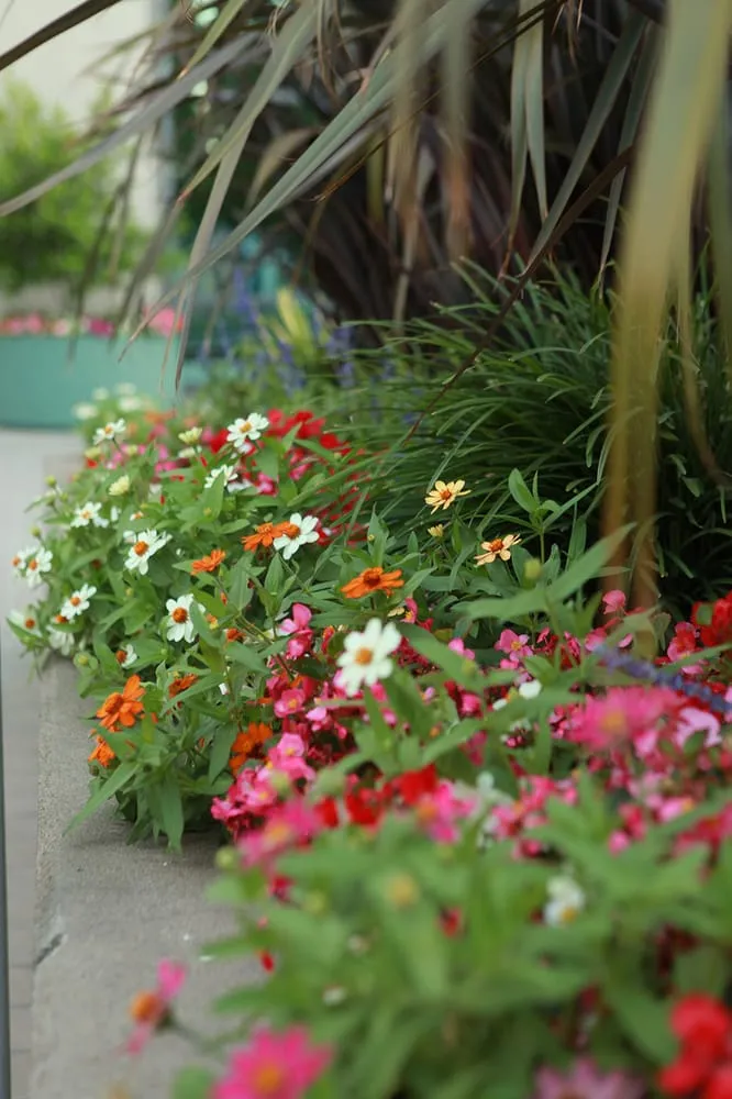 Professional residential landscaping in Sacramento, CA - The Growing Company