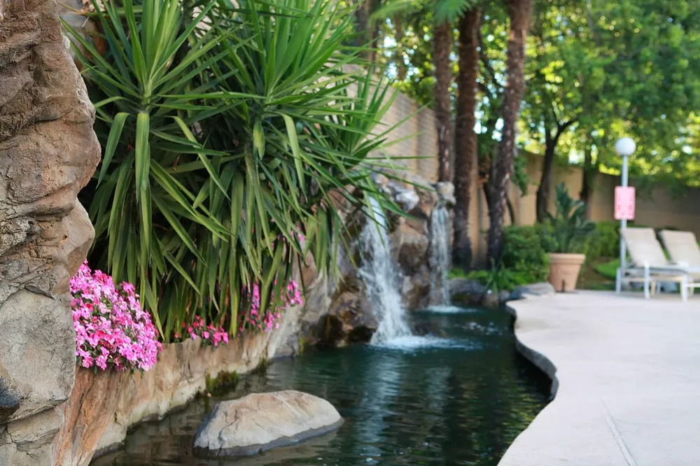 Local landscaping services in Sacramento, CA - The Growing Company