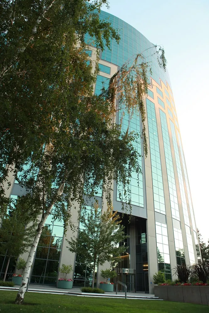 Local residential landscaping in Sacramento, CA by The Growing Company