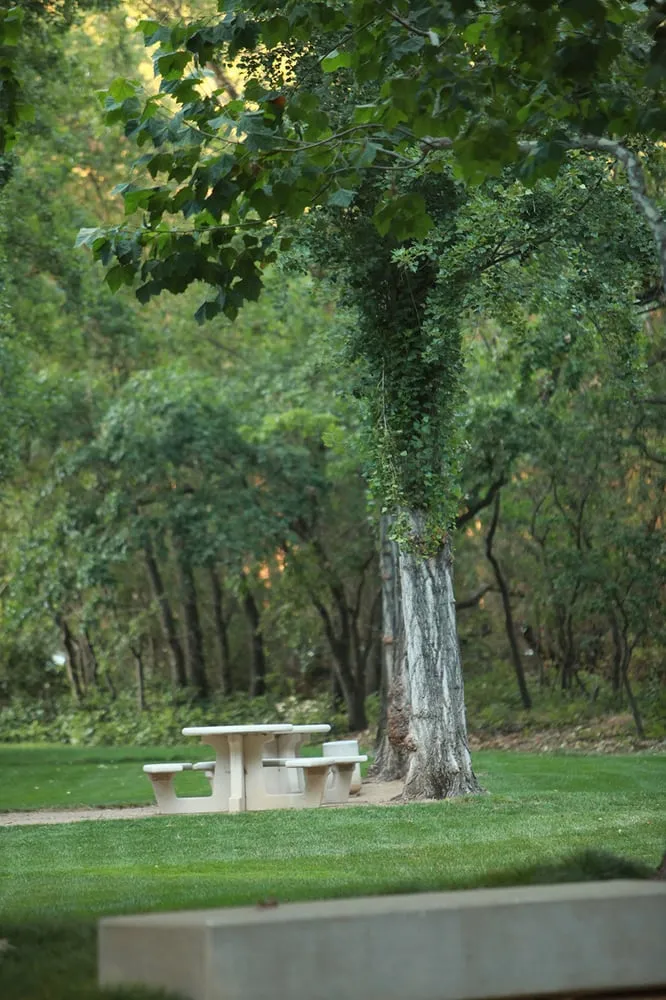 Expert outdoor landscaping in Sacramento, CA by The Growing Company