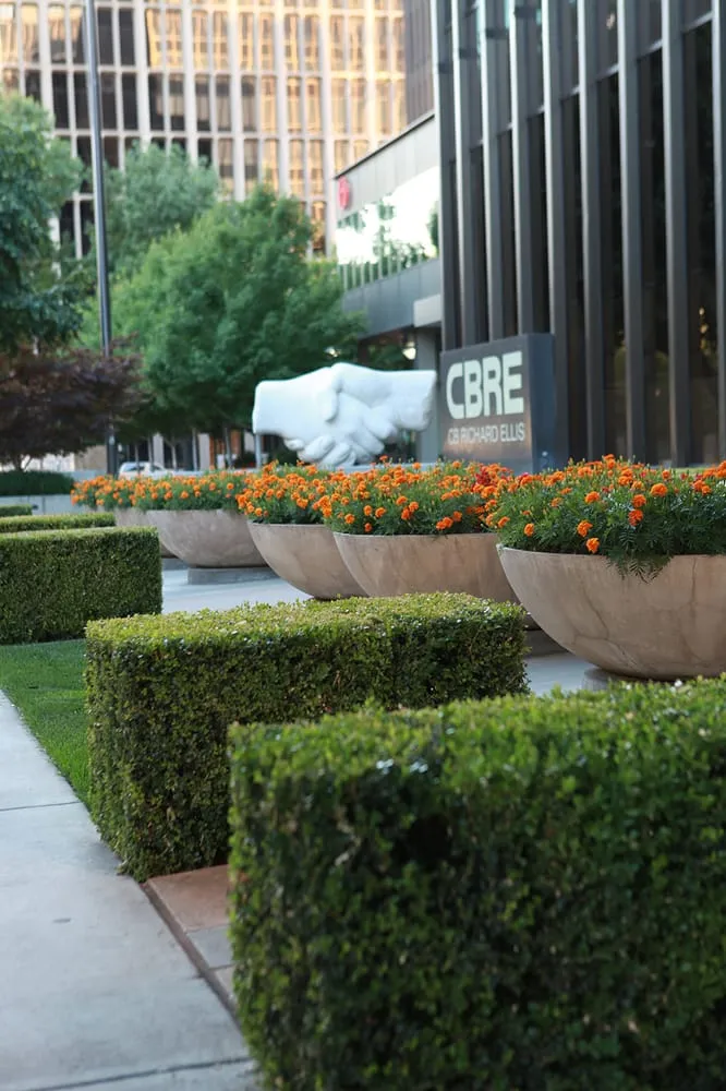 Professional residential landscaping in Sacramento, CA - The Growing Company