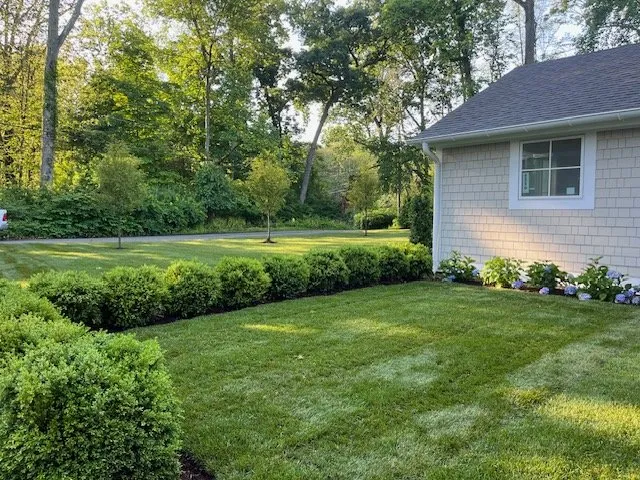 Professional outdoor landscaping in Darien, CT by The Growing Concern
