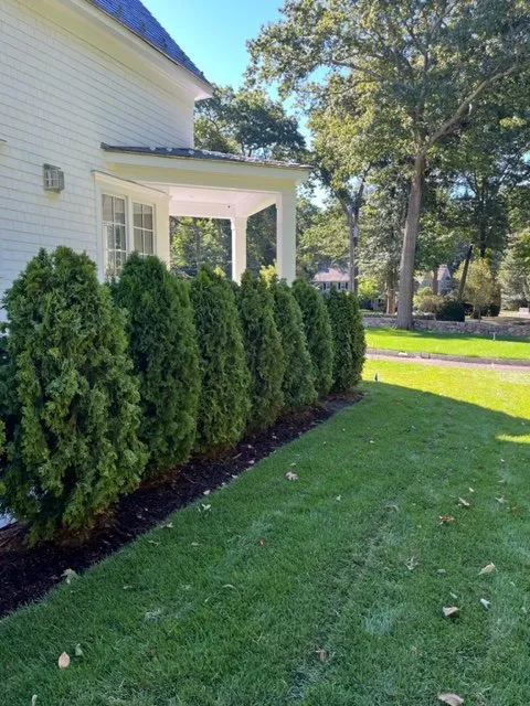 Top-rated lawn care service in Darien, CT - The Growing Concern