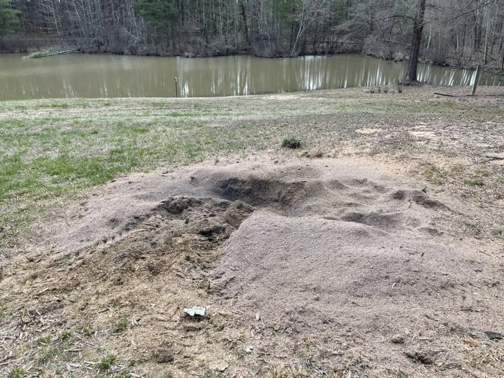 Top-rated landscape installation in VA, VA by The Grumpy Stumper