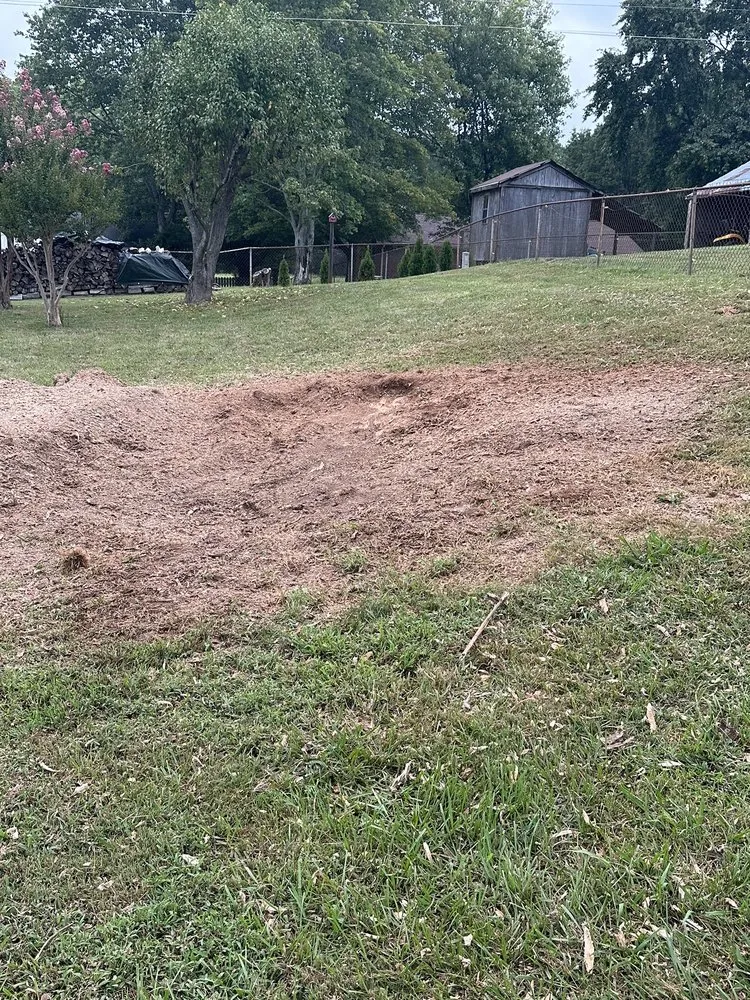 Affordable landscape design in VA, VA by The Grumpy Stumper