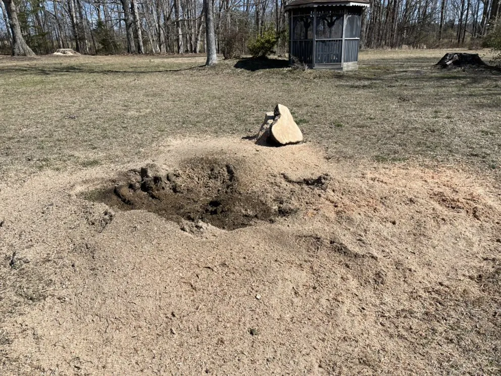Professional yard cleanup service for beautiful yards in VA, VA by The Grumpy Stumper