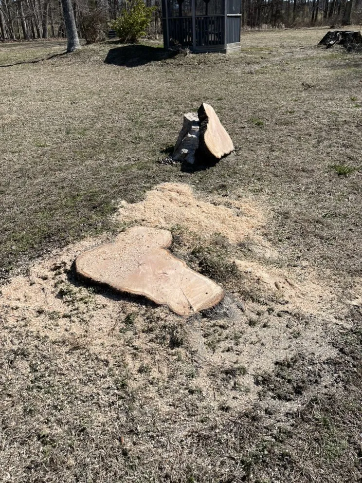 Custom yard maintenance experts serving VA, VA - The Grumpy Stumper