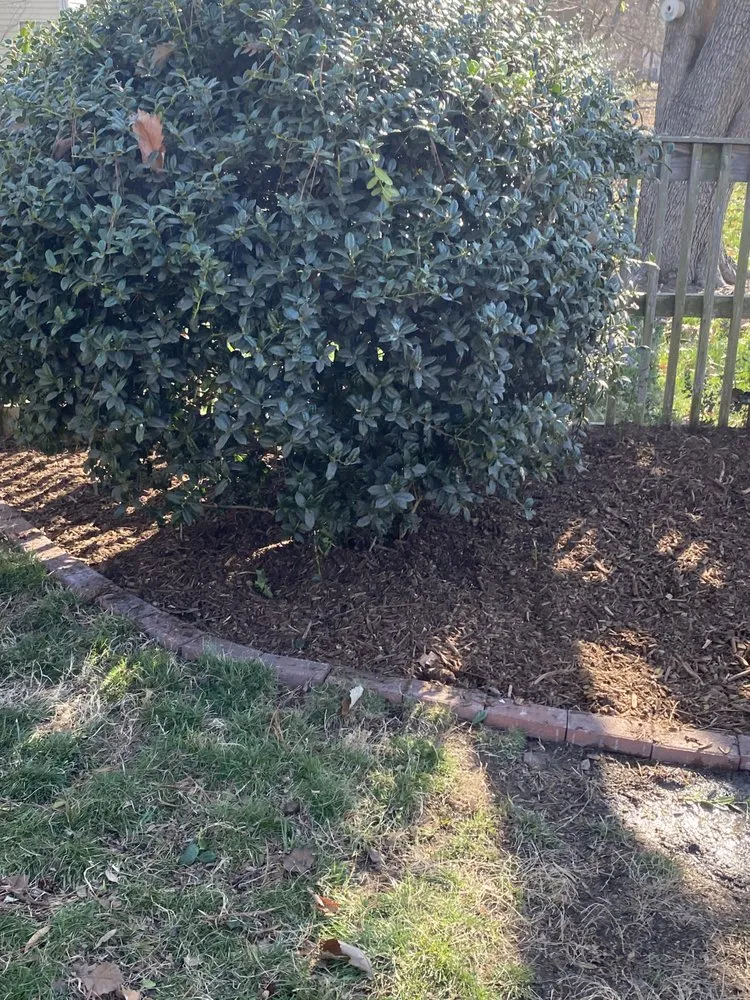 Professional garden landscaping experts serving Poquoson, VA - The Gs Helping Hand