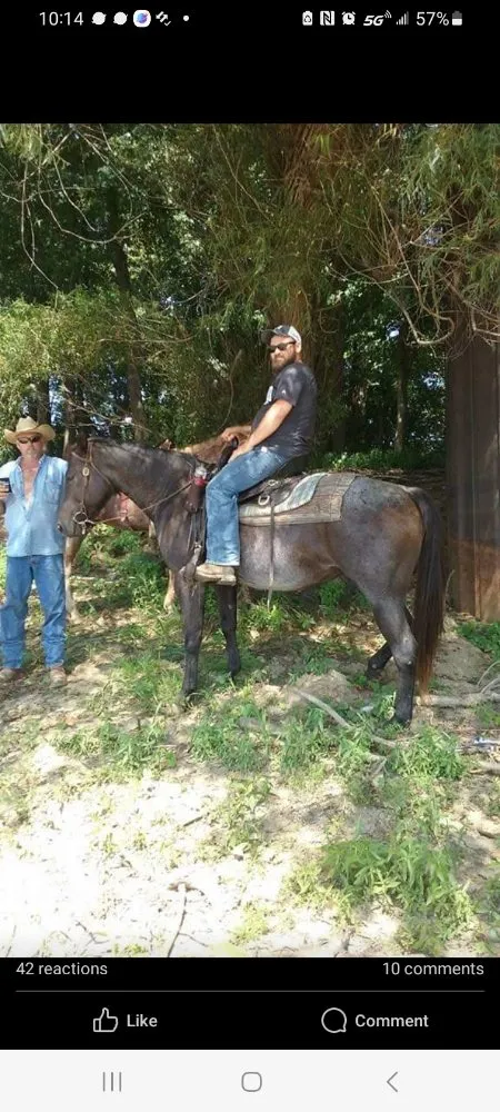 Expert yard cleanup service near you across Bowling Green, KY - The Guy Next Door