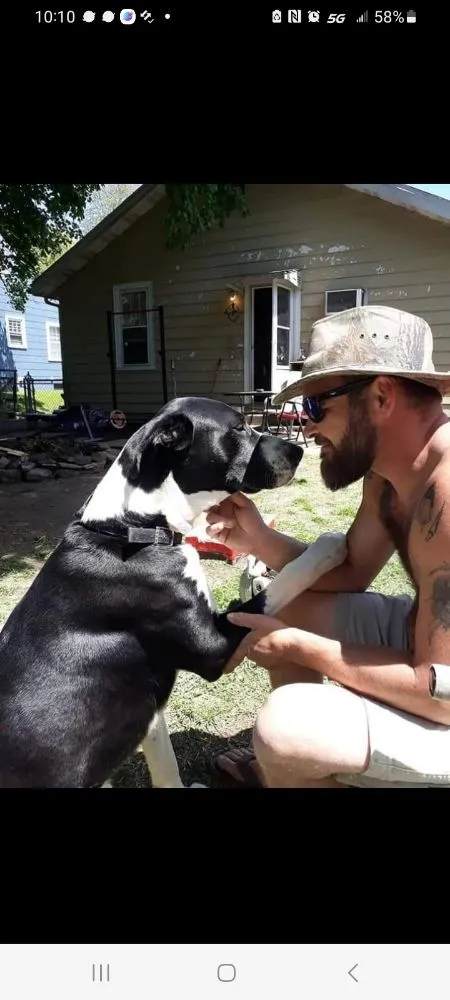 Affordable lawn mowing service experts serving Bowling Green, KY - The Guy Next Door
