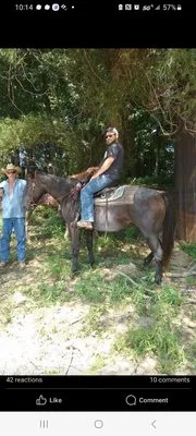 The Guy Next Door Logo