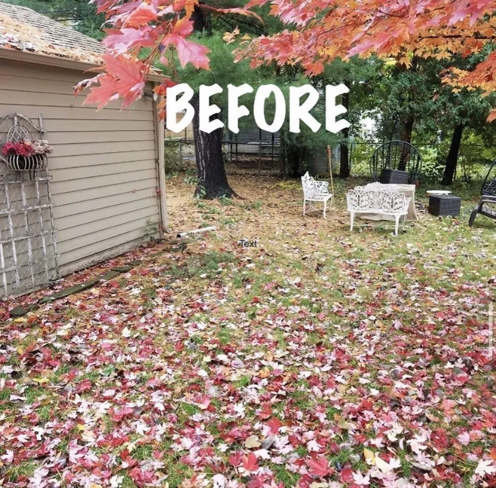 Top-rated outdoor landscaping experts serving Warren, MI - The Guy Outdoor Services