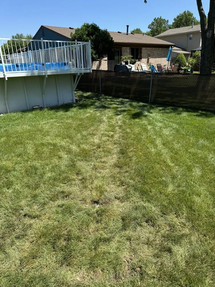 Professional yard cleanup service experts serving Trenton, MI - The Guys Landscaping