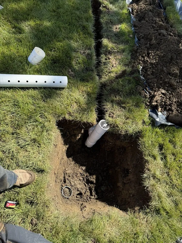 Affordable yard cleanup service experts serving Trenton, MI - The Guys Landscaping