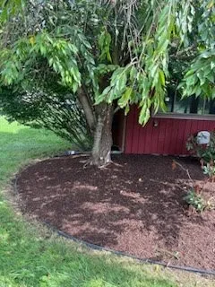 Expert lawn care service experts serving Syracuse, NY - The Guys Outside