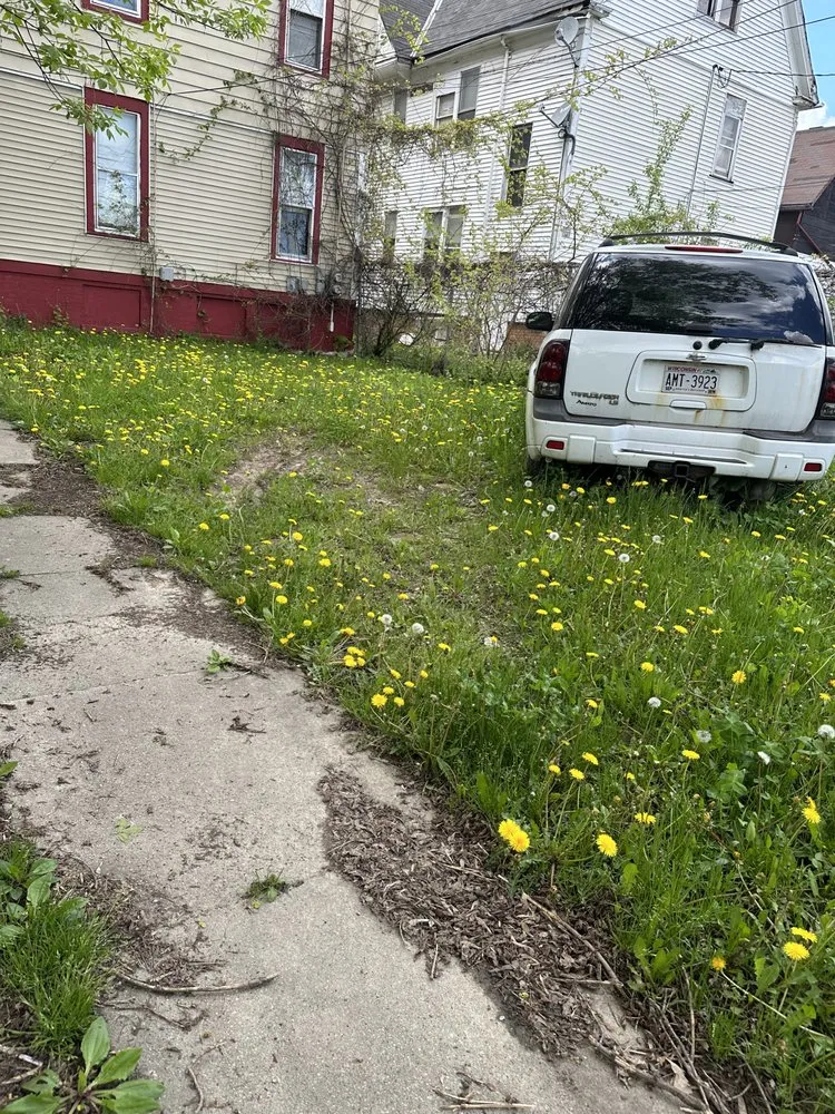 Expert landscape installation for outdoor upgrades across Milwaukee, WI - The Guys That do it All