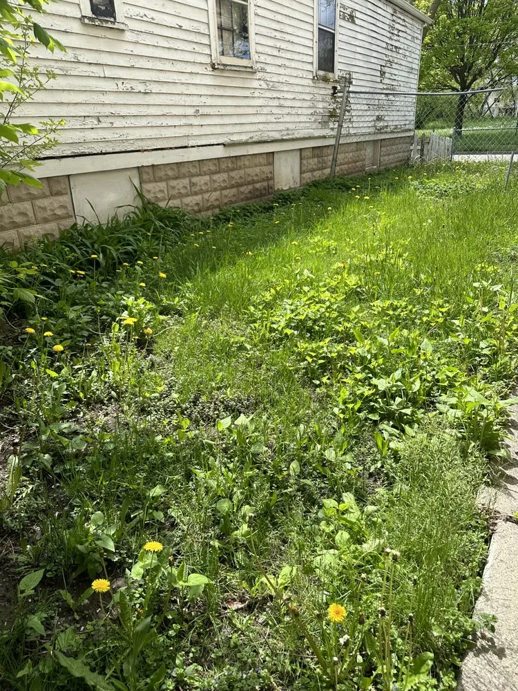 Affordable residential landscaping near you in Milwaukee, WI by The Guys That do it All