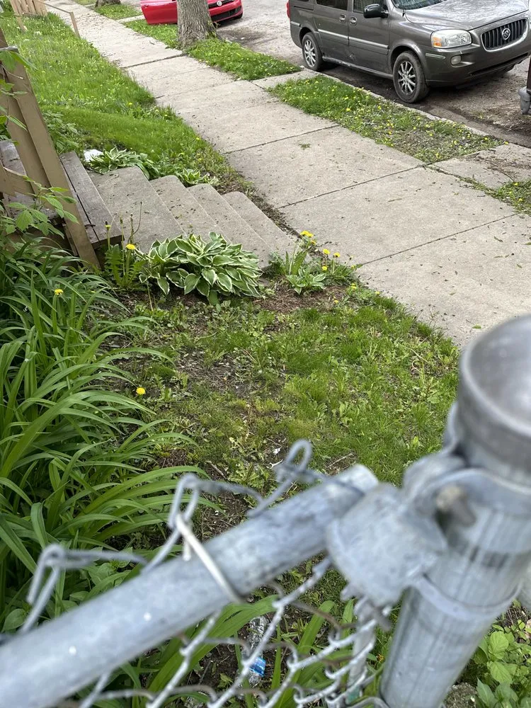 Affordable lawn care service in Milwaukee, WI - The Guys That do it All