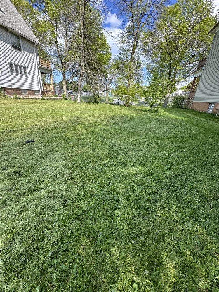 Reliable yard maintenance in Milwaukee, WI - The Guys That do it All