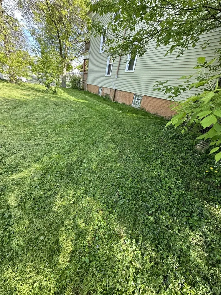 Professional landscape installation for homes across Milwaukee, WI - The Guys That do it All