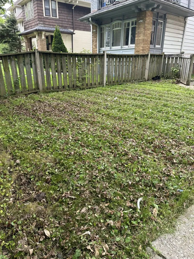 Affordable garden landscaping for year-round maintenance in Milwaukee, WI by The Guys That do it All