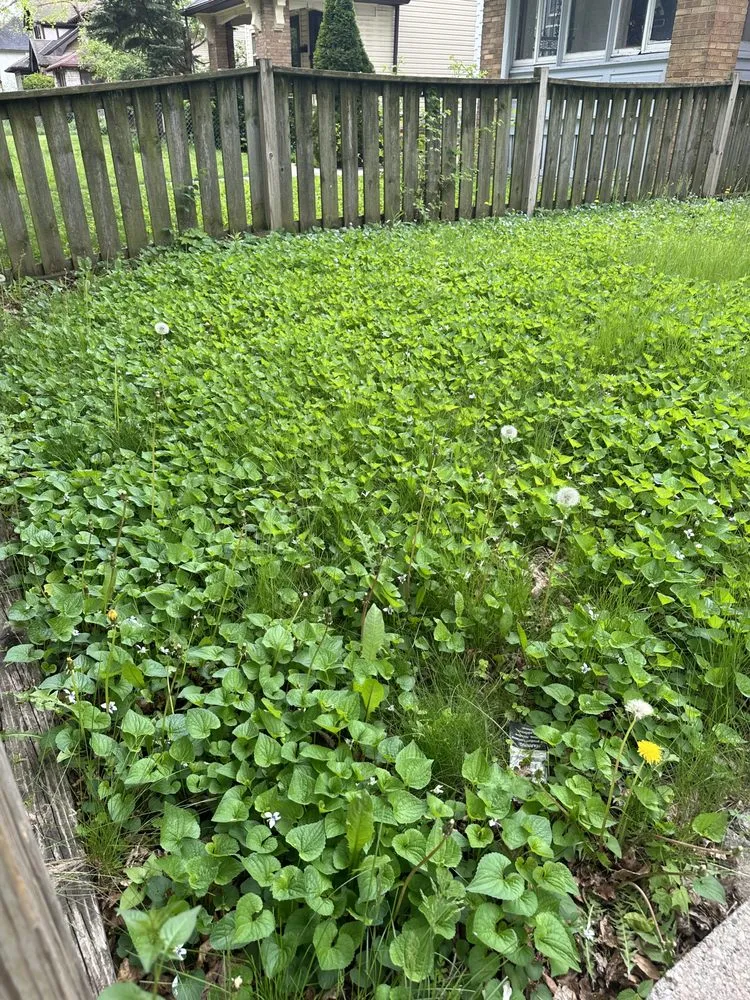 Custom landscape design near you across Milwaukee, WI - The Guys That do it All