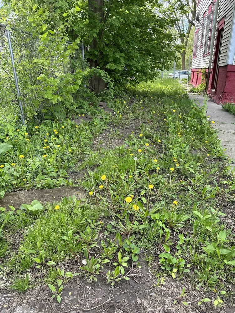 Local garden landscaping experts serving Milwaukee, WI - The Guys That do it All