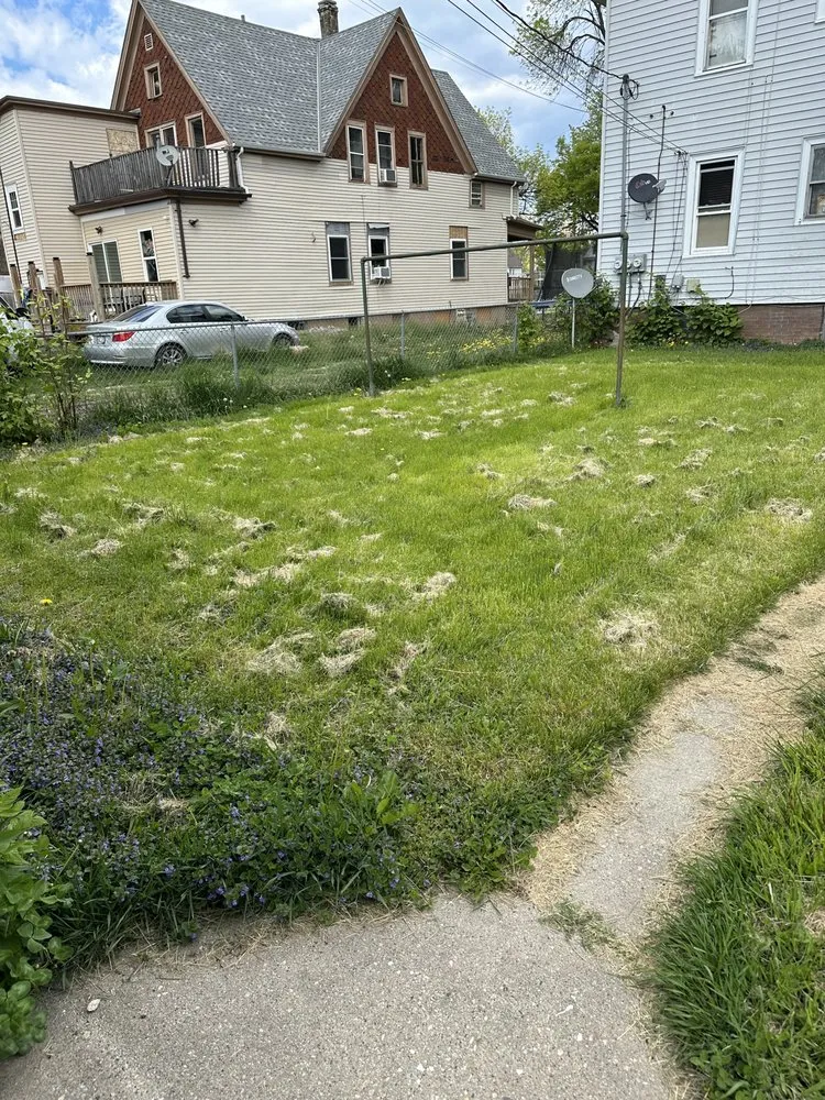 Affordable lawn mowing service experts serving Milwaukee, WI - The Guys That do it All