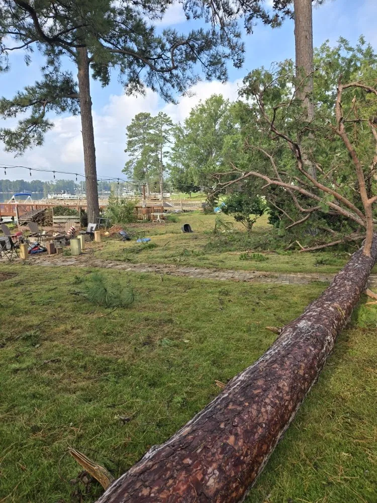 Expert residential landscaping experts serving Columbia, SC - The H Way