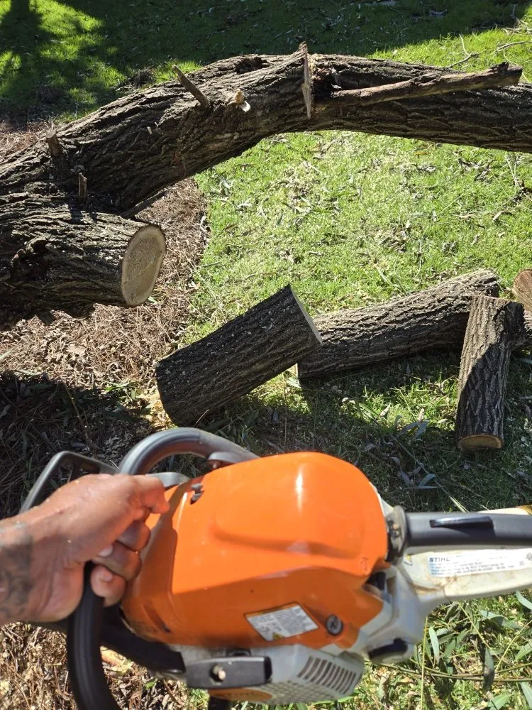 Top-rated lawn mowing service for beautiful yards across Columbia, SC - The H Way