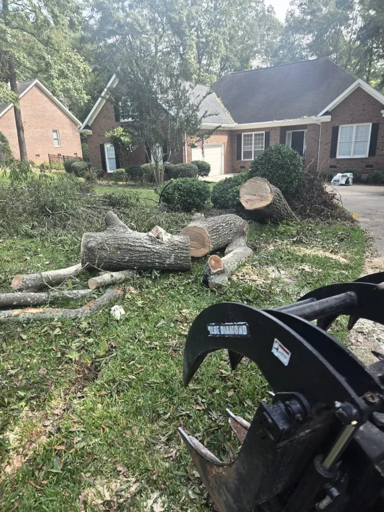 Trusted residential landscaping near you in Columbia, SC by The H Way