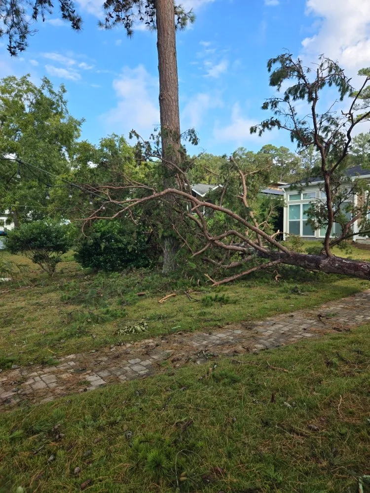 Expert lawn mowing service experts serving Columbia, SC - The H Way