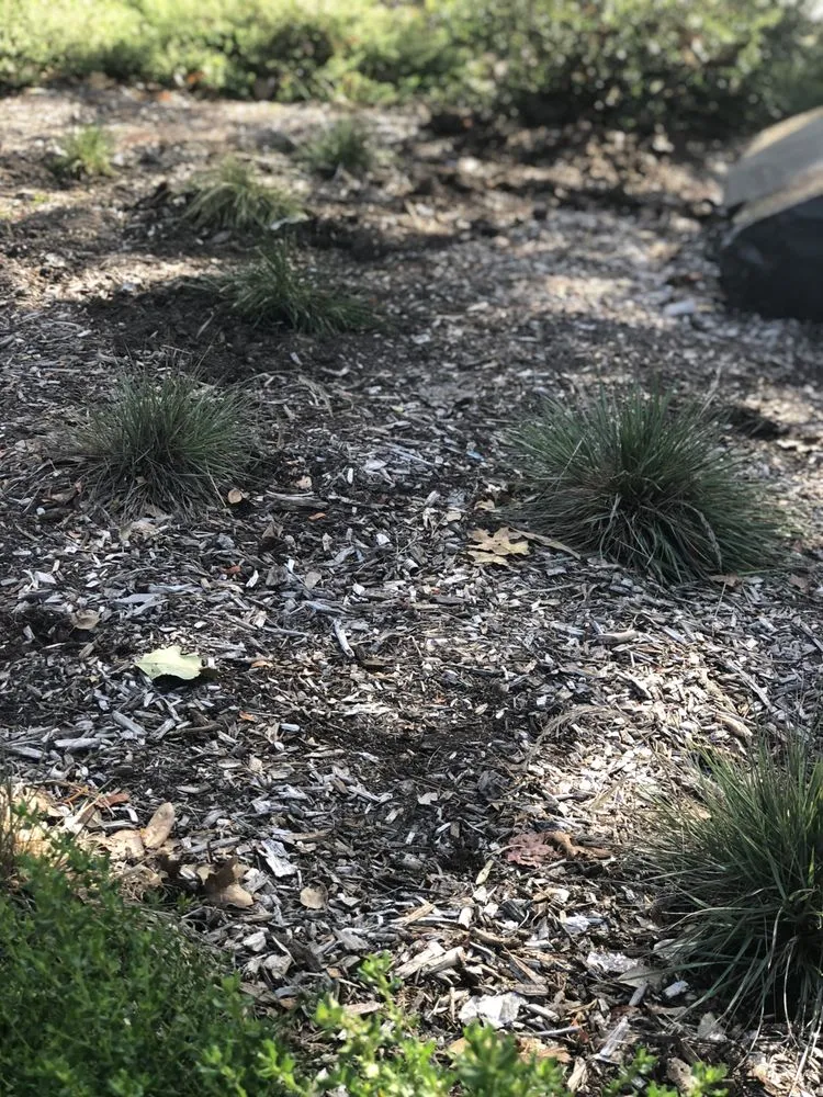 Local landscaping services with custom design across Sebastopol, CA - The Habitat Corridor Project