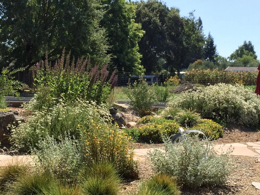 Affordable landscape design near you across Sebastopol, CA - The Habitat Corridor Project