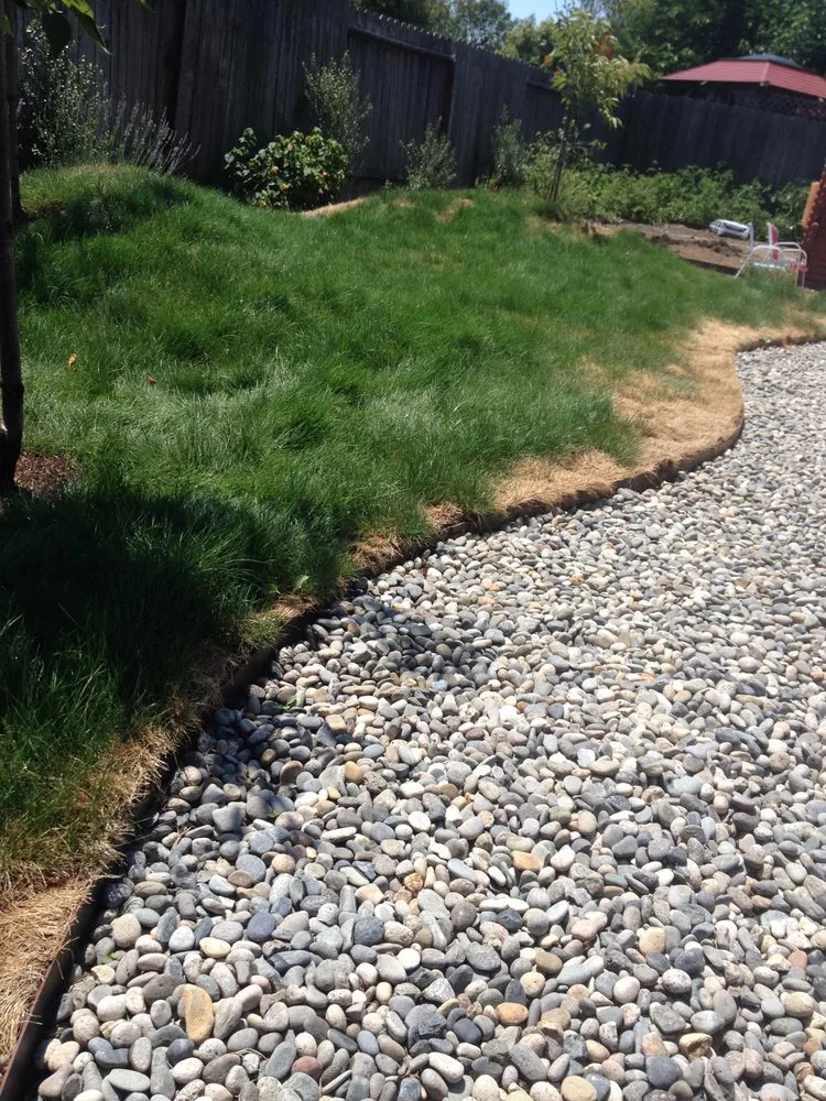 Affordable landscape installation with custom design across Sebastopol, CA - The Habitat Corridor Project