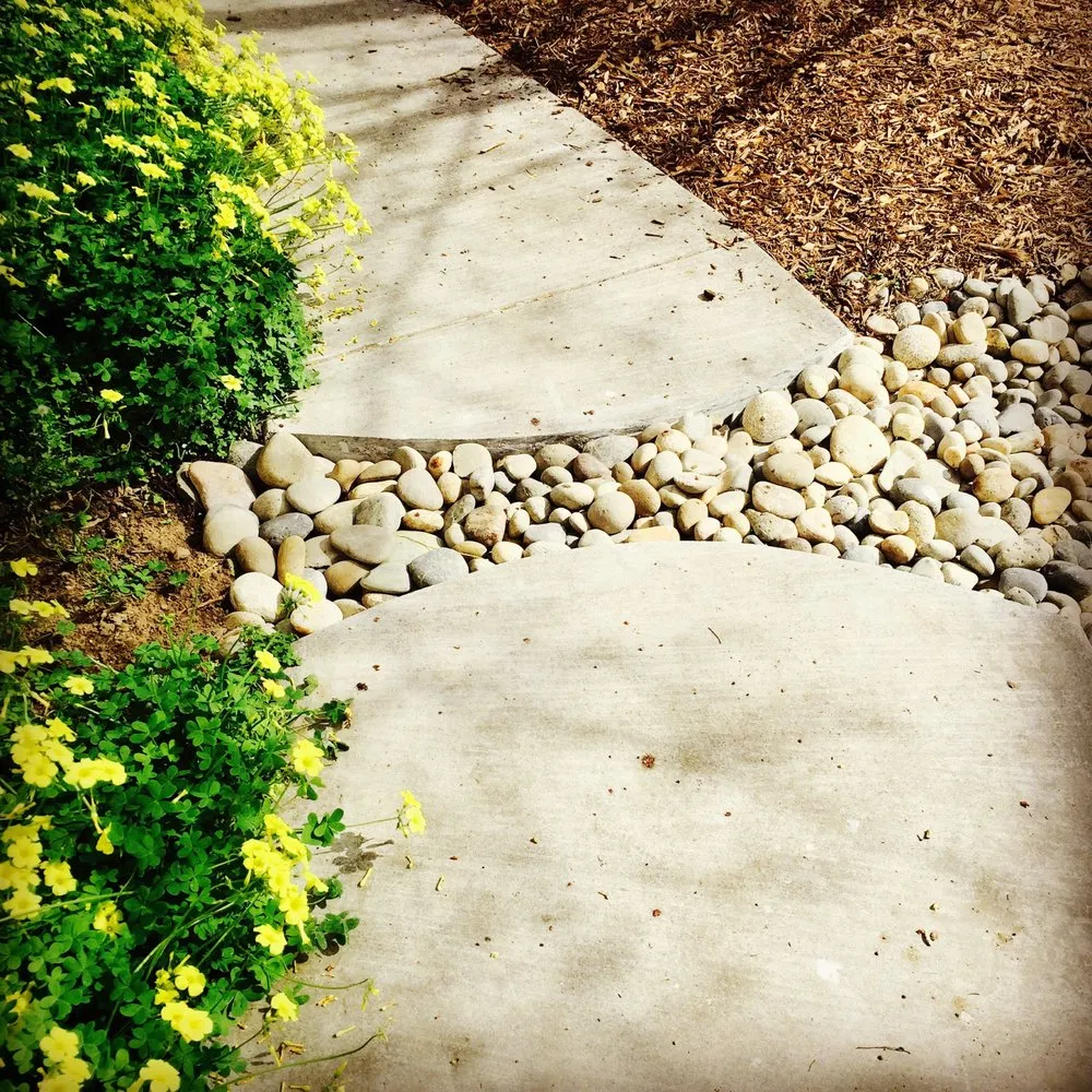 Reliable landscape installation experts serving Sebastopol, CA - The Habitat Corridor Project