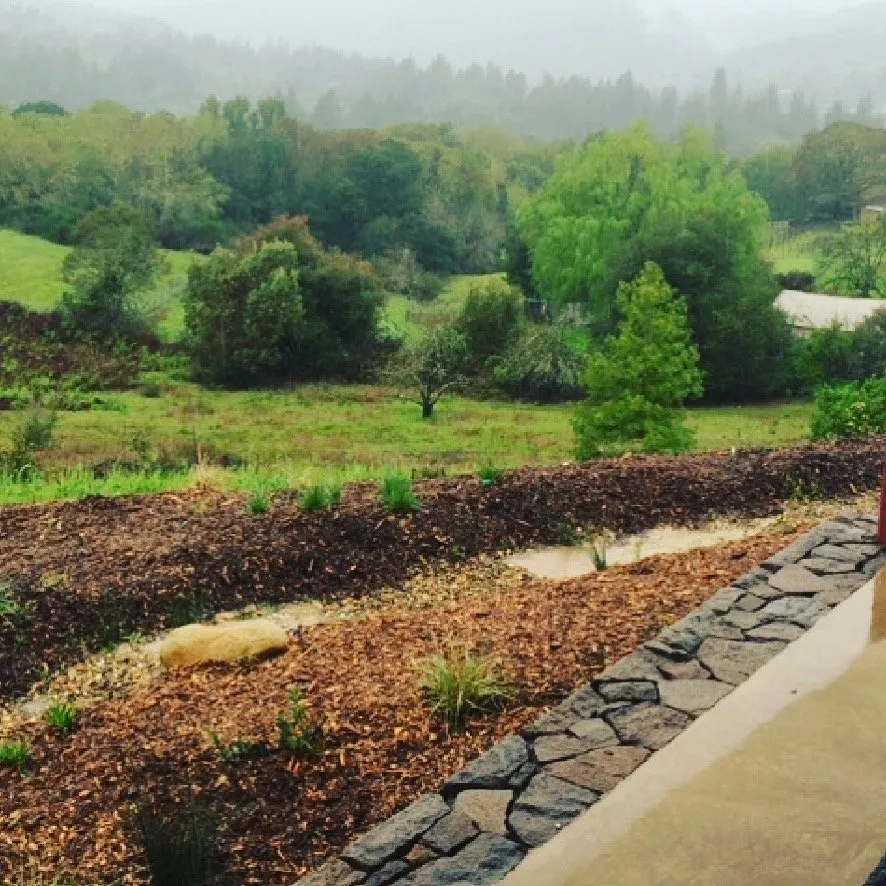 Top-rated residential landscaping near you across Sebastopol, CA - The Habitat Corridor Project
