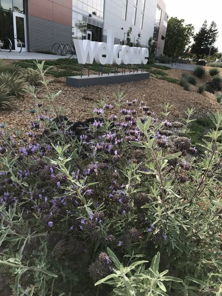 Expert landscape design for residential properties across Sebastopol, CA - The Habitat Corridor Project