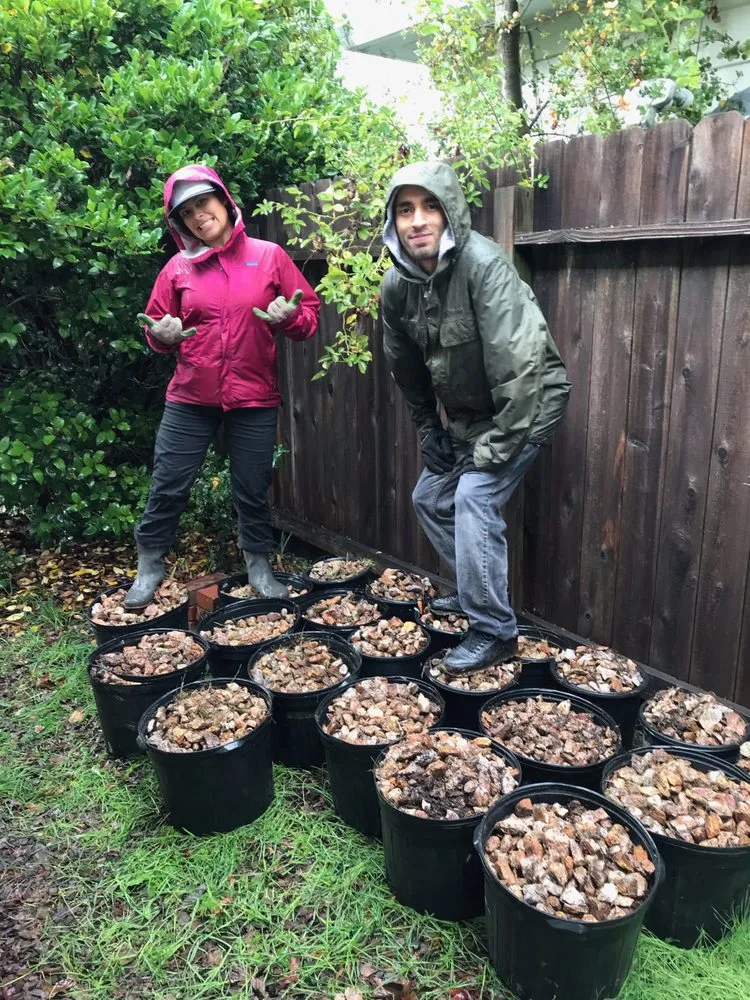 Expert residential landscaping in Sebastopol, CA by The Habitat Corridor Project