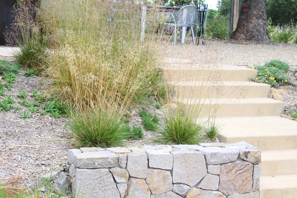 Reliable yard cleanup service experts serving Sebastopol, CA - The Habitat Corridor Project