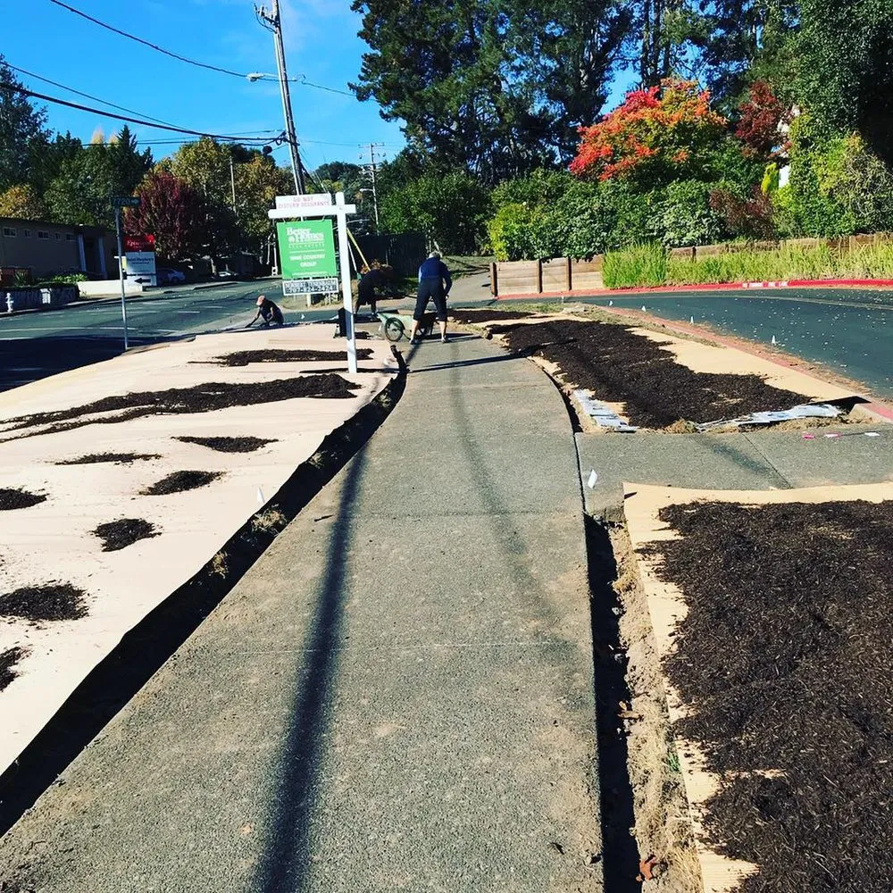 Expert landscape design in Sebastopol, CA by The Habitat Corridor Project